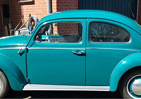 VW Käfer Volkswagen Australischer 64er