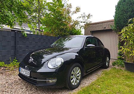 VW Beetle Volkswagen 1.6 TDI- TÜV neu, umfangreich gewartet!