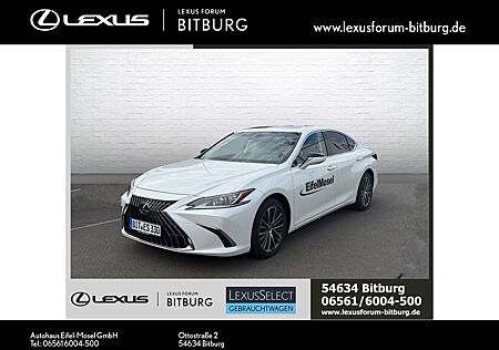 Lexus ES 300 ES 300h Business Line