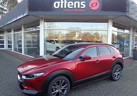 Mazda CX-30 2.0M-Hybrid SELECTION, Leder, 360° Monitor