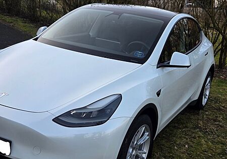 Tesla Model Y - Modell 2023 - Long Range Dual Motor AW