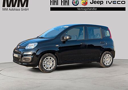 Fiat Panda Pandina ICON Benzin NP: 18.990€