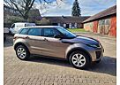 Land Rover Range Rover Evoque SE Dynamic*HU/AU neu*