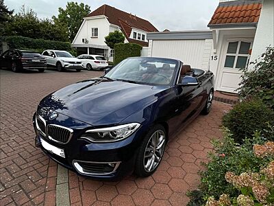 BMW 230i Cabrio Luxury Line Luxury Line