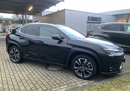 Lexus UX 250h Style Edition, Safety System, SHZ, TWA