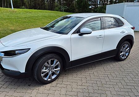 Mazda CX-30 M-Hybrid 150 Autom., AHK, 3 J. Werksgarant