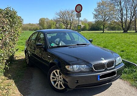 BMW 316i Wenig KM/ gepflegt