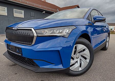 Skoda Enyaq IV 50 SofortLieferbar+ExportNettoMöglich+5