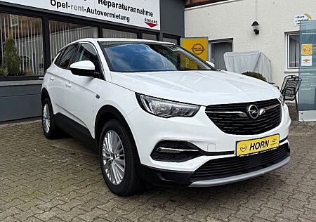 Opel Grandland X Grandland Innovation*PDC*KAMERA*LED*APPLECAR*