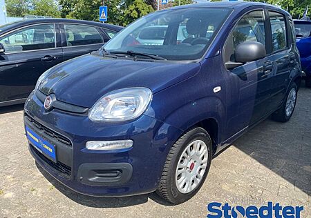 Fiat Panda 1.2 Easy, Klimaanlage, Ganzjahresreifen