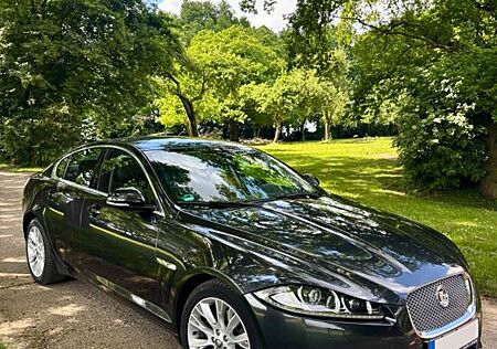 Jaguar XF Gepflegter 2.2 L Diesel - LUXURY -