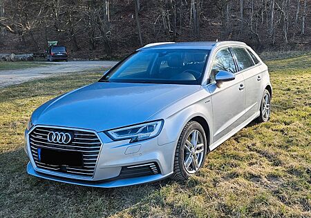 Audi A3 e-tron | ACC LED Sportsitze 8-fach bereift
