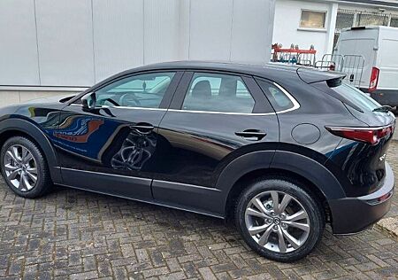 Mazda CX-3 CX-30 Selection TOP-ZUSTAND! 17.000 KM!