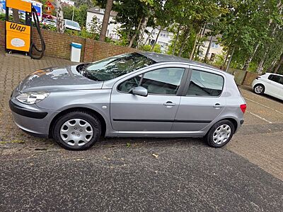Peugeot 307 Grand Filou Cool 110 Automatik Grand Fil...
