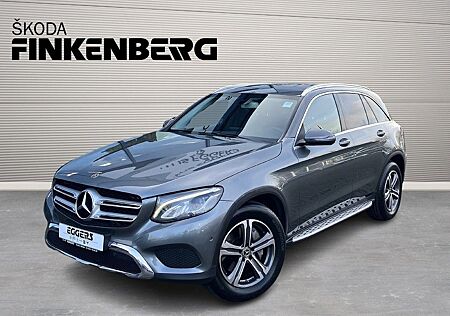 Mercedes-Benz GLC 250 d 4Matic *LED*StaHzg*AHK*RüKam