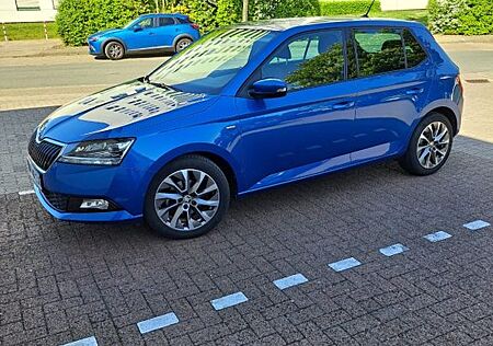 Skoda Fabia LED, RFK, ACC, Navi & Garantie bis 07/2026