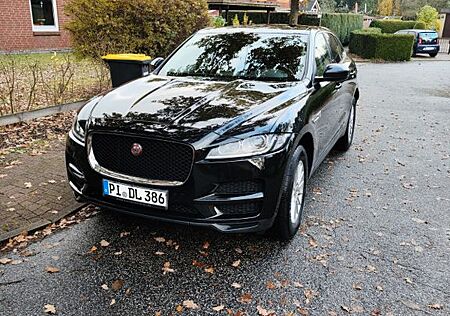 Jaguar F-Pace 20d AWD Pure Automatik Pure
