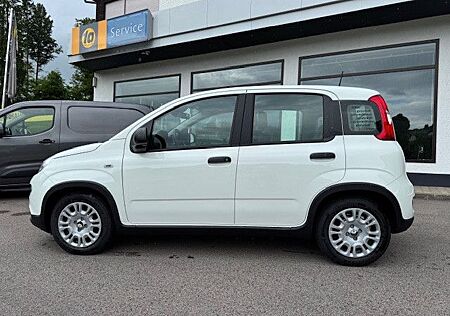 Fiat Panda 1.0 GSE Pandina PDC/DAB+/6-Gang