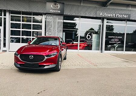 Mazda CX-30 G122 Select. LEDER ECO-SPARPREIS-AKTION