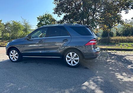 Mercedes-Benz ML 350 Vollausstattung, Panorama, Distr,AHK,Sthz