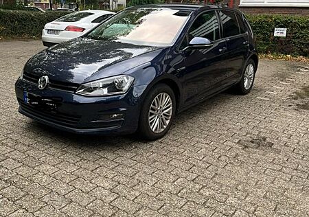 VW Golf Volkswagen 1.6 TDI BMT CUP 4MOTION Standheizung 2Hand