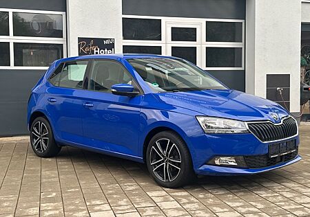 Skoda Fabia Ambition, 8fach bereift, Klima, SHZ,