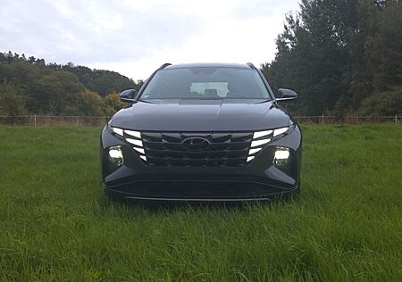 Hyundai Tucson 48V 360° Prime DCT 4WD Prime 8 x bereift