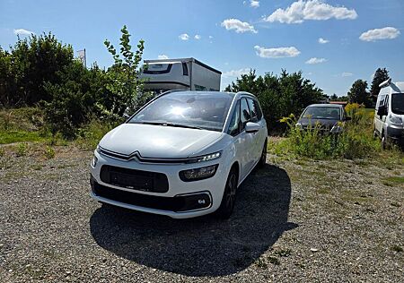 Citroën Grand C4 Picasso/Spacetourer Rip Curl/7-sitze