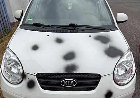 Kia Picanto 1.1 Spirit Spirit