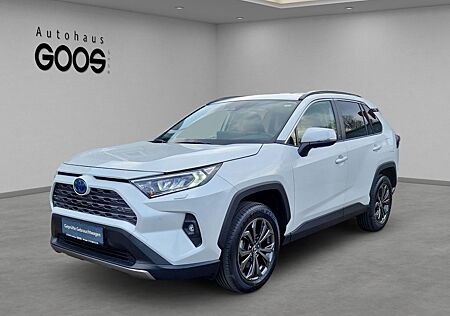 Toyota RAV 4 Hybrid 4x2 Team Deutschland Navi LED ACC E