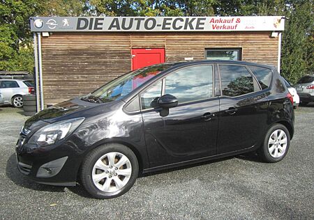 Opel Meriva B 1.4 Design Edition / Fahrrad-Flex / TOP