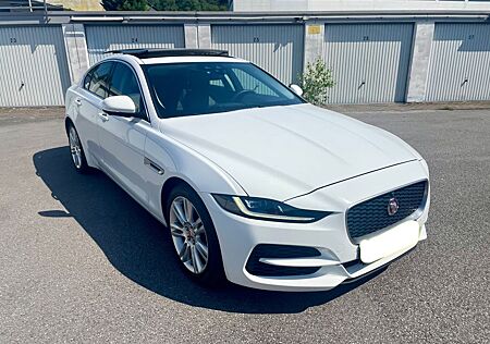 Jaguar XE P250 S LED Matrix Panorama Leder 13.000KM