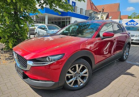 Mazda CX-3 CX-30 Selection I-Activese/Spur/Tot-Winkel/360°/