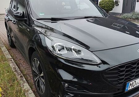 Ford Kuga gebraucht kaufen Ford Kuga 2.0 EcoBlue 140kW ST-Line X Auto 4WD ST...