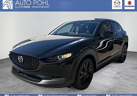 Mazda CX-30 2.5L e-SKYACTIV G 140ps Nagisa Automatik