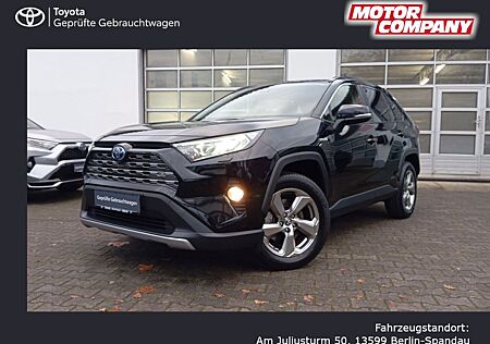 Toyota RAV 4 Hybrid Team D