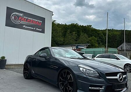 Mercedes-Benz SLK 250 SLK Roadster BlueEfficiency AMG Paket