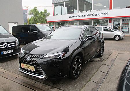 Lexus UX UX250h Style Edition, Kamera, Apple/Android, SHZ