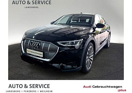 Audi e-tron 50 quattro 230 kW AAS Matrix