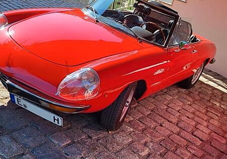 Alfa Romeo Spider
