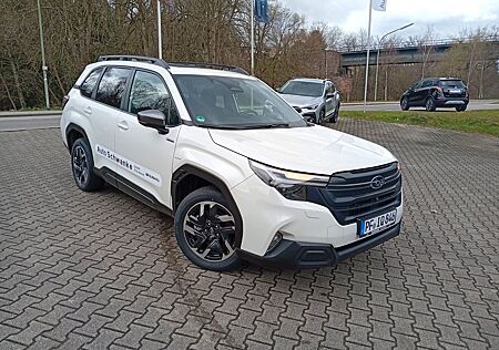 Subaru Forester 2.0 ie Boxer Exclusive AWD / Panorama
