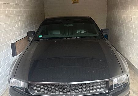 Ford Mustang GT / schwarz/ schwarz