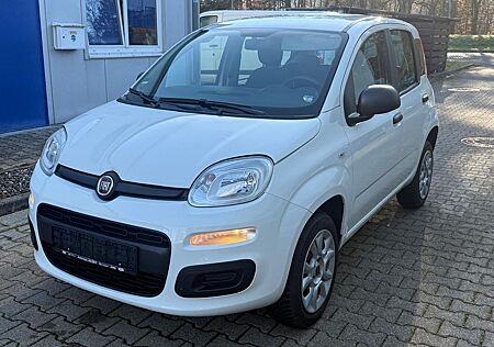 Fiat Panda Easy Bi-Fuel Benzin/Erdgas