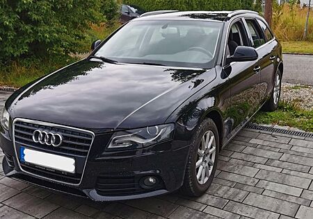 Audi A4 B8 2.0 TDI (DPF) Attraction Avant Bj. 2008