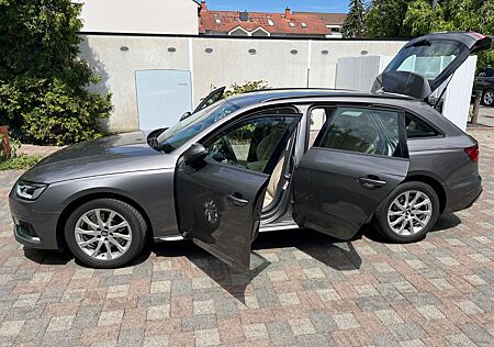 Audi A4 35 TDI S tronic Avant Terragrau AHK Volleder