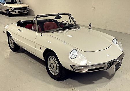 Alfa Romeo Spider 1600 Duetto 40.000,- € Invest 2022-2025