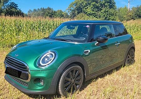 Mini Cooper | Chili | Navi | LED | SHZ | Sportsitze