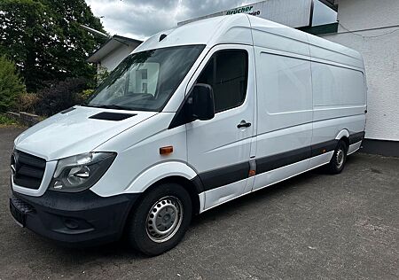 Mercedes-Benz Sprinter Maxi 316