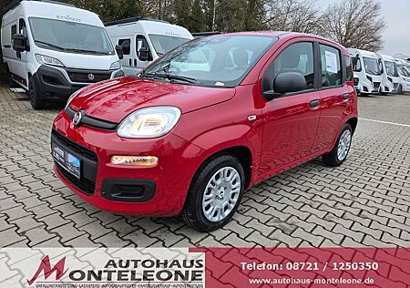 Fiat Panda MY25 Pandina ICON Hybrid | PDC | 5Sitze