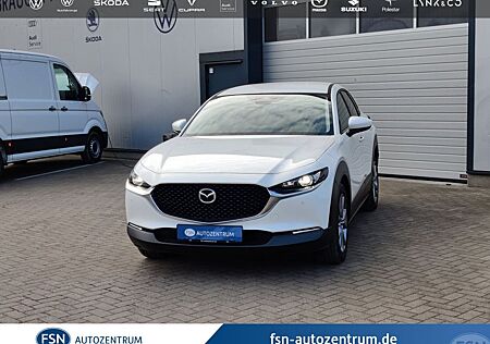 Mazda CX-30 150PS Exclusive-line MATRIX-LED NAVI HEAD